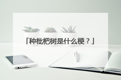 种枇杷树是什么梗？