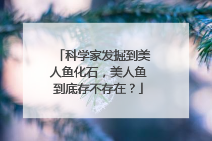 科学家发掘到美人鱼化石，美人鱼到底存不存在？