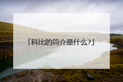 科比的简介是什么?