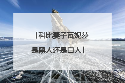 科比妻子瓦妮莎是黑人还是白人
