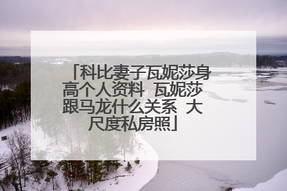 科比妻子瓦妮莎身高个人资料 瓦妮莎跟马龙什么关系 大尺度私房照