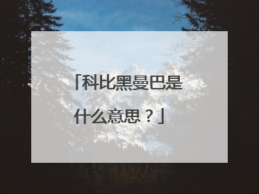 科比黑曼巴是什么意思？