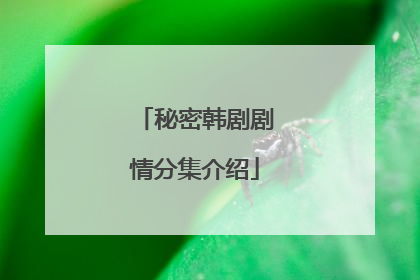 秘密韩剧剧情分集介绍