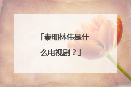 秦珊林伟是什么电视剧？