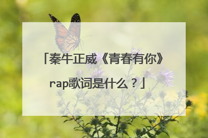 秦牛正威《青春有你》rap歌词是什么？