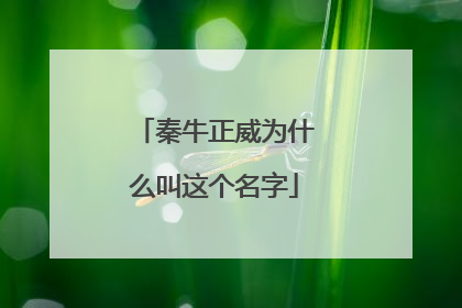 秦牛正威为什么叫这个名字