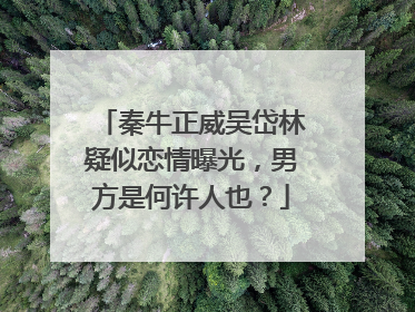 秦牛正威吴岱林疑似恋情曝光,男方是何许人也?