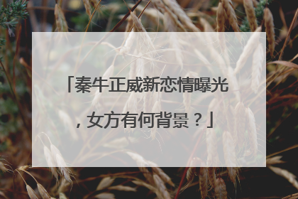 秦牛正威新恋情曝光，女方有何背景？