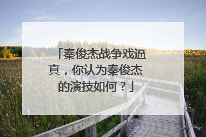 秦俊杰战争戏逼真,你认为秦俊杰的演技如何?