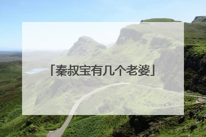 秦叔宝有几个老婆