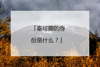 秦可卿的身份是什么?
