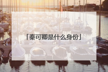 秦可卿是什么身份