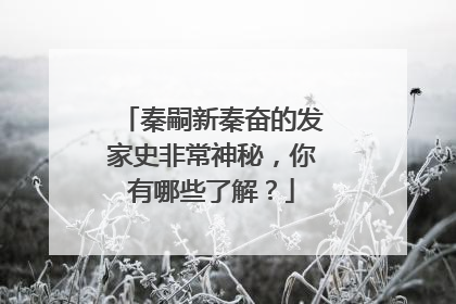 秦嗣新秦奋的发家史非常神秘，你有哪些了解？