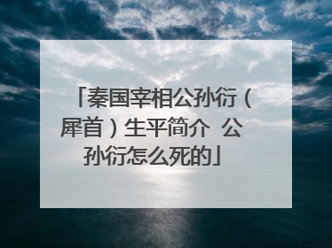 秦国宰相公孙衍（犀首）生平简介 公孙衍怎么死的