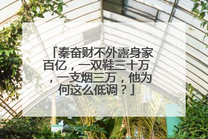 秦奋财不外露身家百亿，一双鞋三十万，一支烟三万，他为何这么低调？