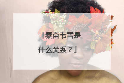 秦奋韦雪是什么关系?