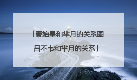 秦始皇和芈月的关系图 吕不韦和芈月的关系