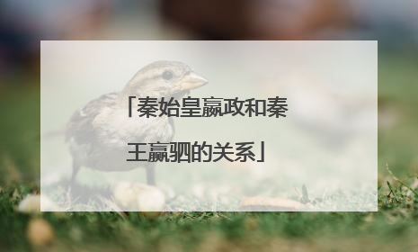 秦始皇嬴政和秦王赢驷的关系