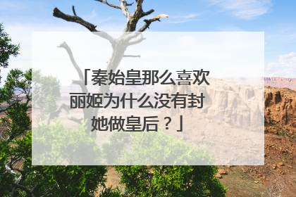 秦始皇那么喜欢丽姬为什么没有封她做皇后?