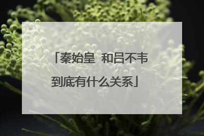 秦始皇 和吕不韦到底有什么关系