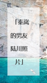 秦岚的男友陆川照片