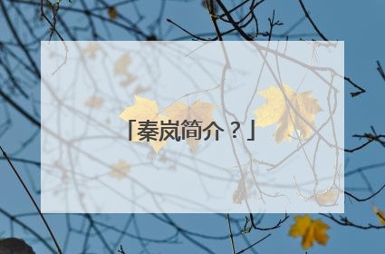 秦岚简介?