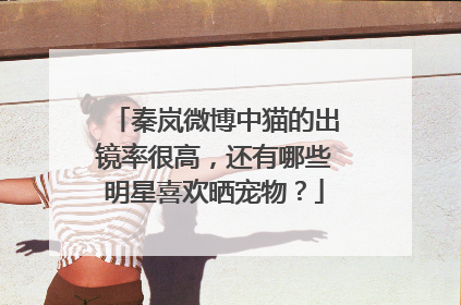 秦岚微博中猫的出镜率很高,还有哪些明星喜欢晒宠物?