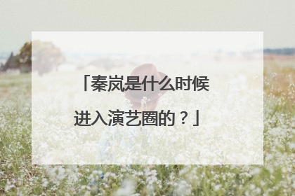 秦岚是什么时候进入演艺圈的?