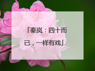 秦岚：四十而已，一样有戏