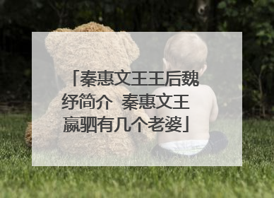 秦惠文王王后魏纾简介 秦惠文王嬴驷有几个老婆