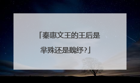 秦惠文王的王后是芈殊还是魏纾?