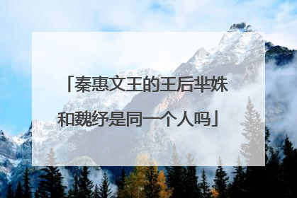 秦惠文王的王后芈姝和魏纾是同一个人吗