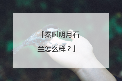 秦时明月石兰怎么样？