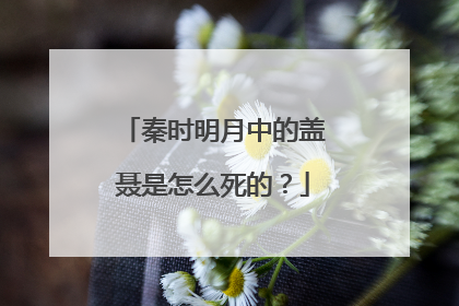 秦时明月中的盖聂是怎么死的？