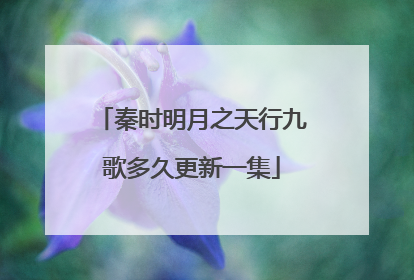 秦时明月之天行九歌多久更新一集