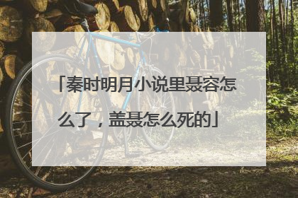 秦时明月小说里聂容怎么了，盖聂怎么死的