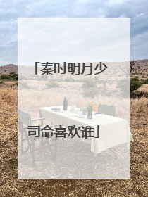 秦时明月少司命喜欢谁