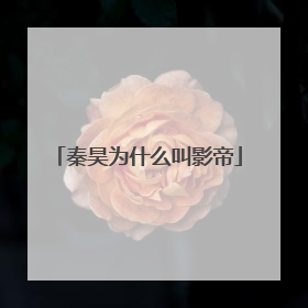 秦昊为什么叫影帝