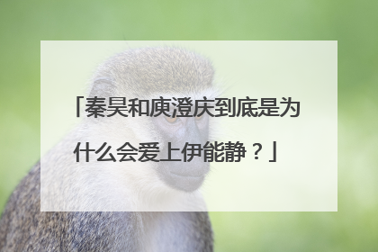 秦昊和庾澄庆到底是为什么会爱上伊能静？