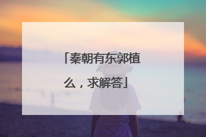 秦朝有东郭植么，求解答