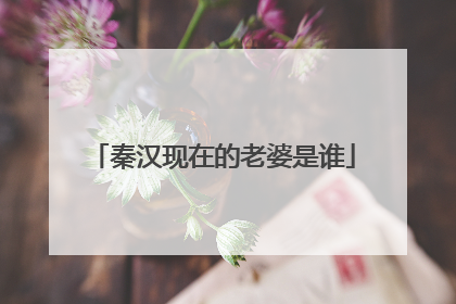 秦汉现在的老婆是谁