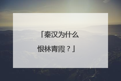 秦汉为什么恨林青霞？