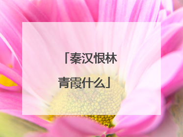 秦汉恨林青霞什么