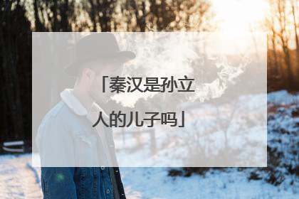 秦汉是孙立人的儿子吗