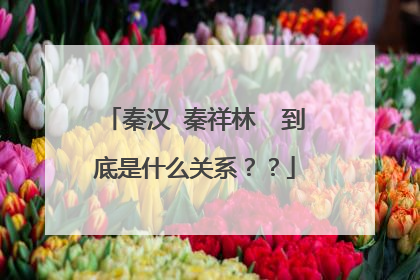 秦汉 秦祥林  到底是什么关系？？