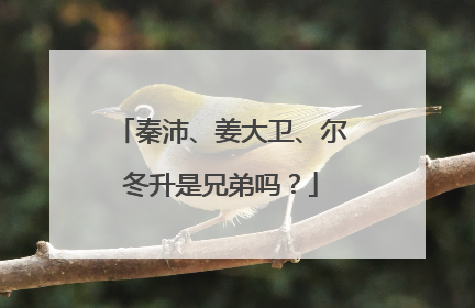 秦沛、姜大卫、尔冬升是兄弟吗?