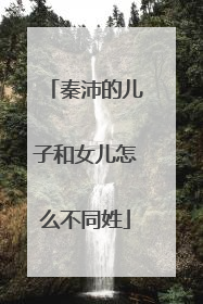 秦沛的儿子和女儿怎么不同姓