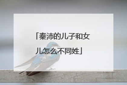 秦沛的儿子和女儿怎么不同姓