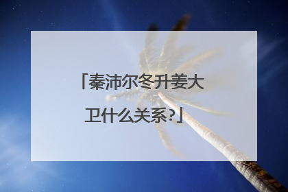 秦沛尔冬升姜大卫什么关系?