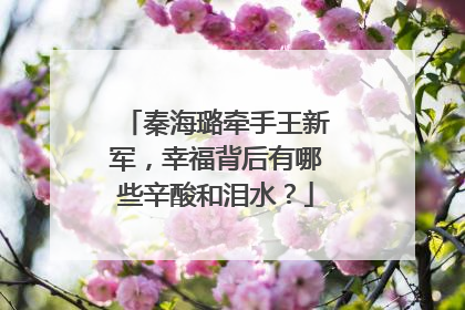 秦海璐牵手王新军，幸福背后有哪些辛酸和泪水？